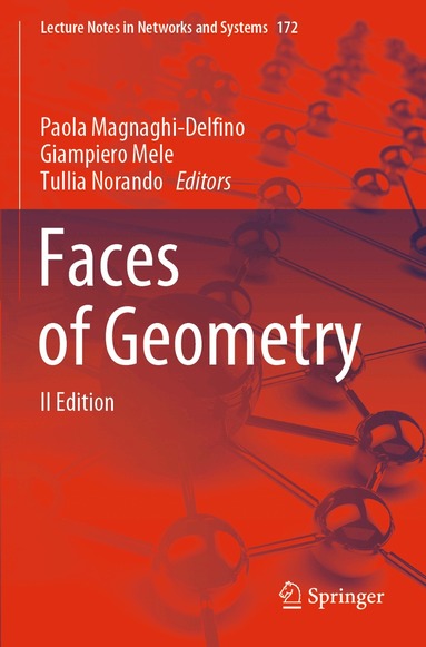 Paola Magnaghi-Delfino, Giampiero Mele, Tullia Norando - Faces of Geometry, Häftad