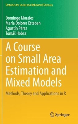 bokomslag Course on Small Area Estimation and Mixed Models