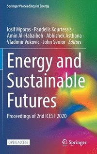 bokomslag Energy and Sustainable Futures