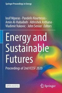 bokomslag Energy and Sustainable Futures