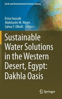 bokomslag Sustainable Water Solutions in the Western Desert, Egypt: Dakhla Oasis