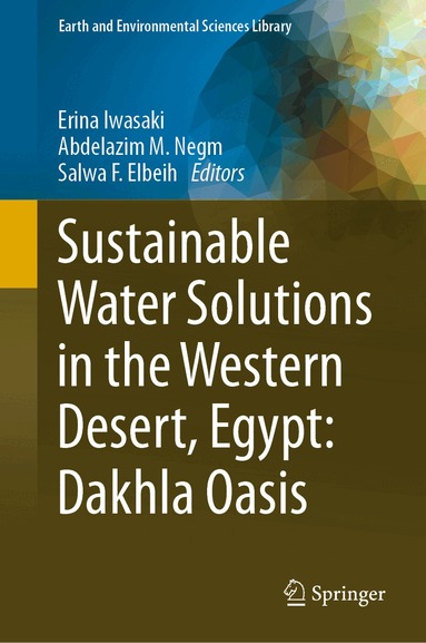 Erina Iwasaki, Abdelazim M. Negm, Salwa F. Elbeih - Sustainable Water Solutions in the Western Desert, Egypt: Dakhla Oasis, Inbunden