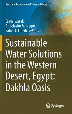 Sustainable Water Solutions in the Western Desert, Egypt: Dakhla Oasis 1