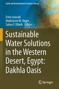 bokomslag Sustainable Water Solutions in the Western Desert, Egypt: Dakhla Oasis