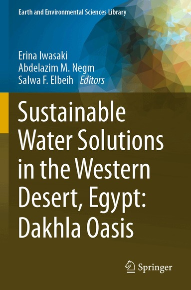 Erina Iwasaki, Abdelazim M. Negm, Salwa F. Elbeih - Sustainable Water Solutions in the Western Desert, Egypt: Dakhla Oasis, Häftad