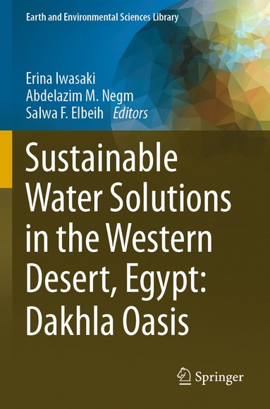 bokomslag Sustainable Water Solutions in the Western Desert, Egypt: Dakhla Oasis