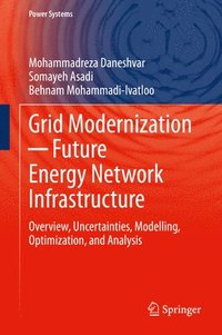 bokomslag Grid Modernization ? Future Energy Network Infrastructure