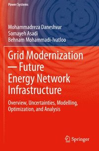 bokomslag Grid Modernization  Future Energy Network Infrastructure