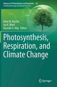 bokomslag Photosynthesis, Respiration, and Climate Change