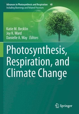 bokomslag Photosynthesis, Respiration, and Climate Change