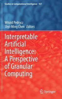 bokomslag Interpretable Artificial Intelligence: A Perspective of Granular Computing