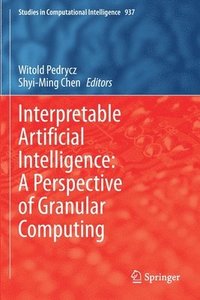 bokomslag Interpretable Artificial Intelligence: A Perspective of Granular Computing