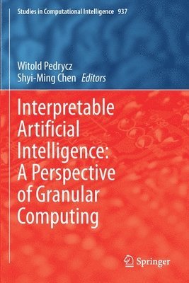 Witold Pedrycz, Shyi-Ming Chen - Interpretable Artificial Intelligence: A Perspective of Granular Computing, Häftad
