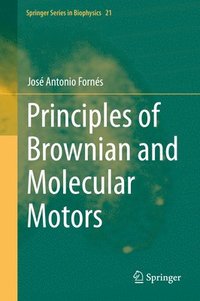 bokomslag Principles of Brownian and Molecular Motors