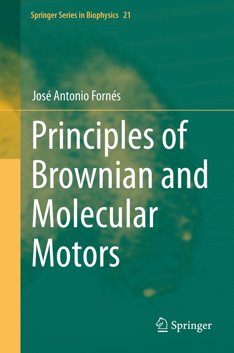 Principles of Brownian and Molecular Motors