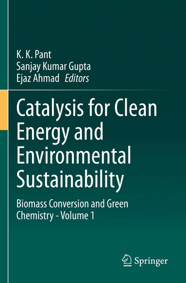 K. K. Pant, Sanjay Kumar Gupta, Ejaz Ahmad - Catalysis for Clean Energy and Environmental Sustainability, Häftad