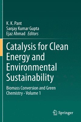 K. K. Pant, Sanjay Kumar Gupta, Ejaz Ahmad - Catalysis for Clean Energy and Environmental Sustainability, Häftad