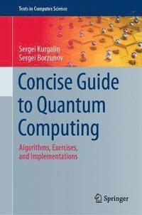 bokomslag Concise Guide to Quantum Computing