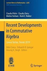bokomslag Recent Developments in Commutative Algebra
