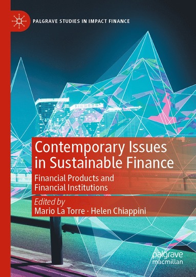 bokomslag Contemporary Issues in Sustainable Finance