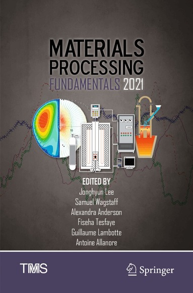 Jonghyun Lee, Samuel Wagstaff, Alexandra Anderson, Fiseha Tesfaye, Guillaume Lambotte, Antoine Allanore - Materials Processing Fundamentals 2021, Häftad