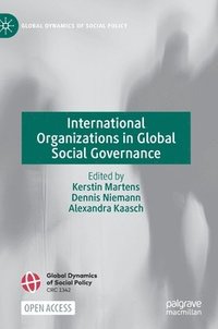 bokomslag International Organizations in Global Social Governance