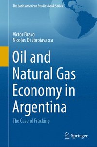 bokomslag Oil and Natural Gas Economy in Argentina