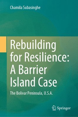 bokomslag Rebuilding for Resilience: A Barrier Island Case