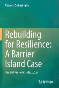 bokomslag Rebuilding for Resilience: A Barrier Island Case