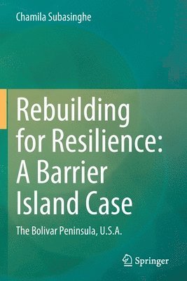 Rebuilding for Resilience: A Barrier Island Case