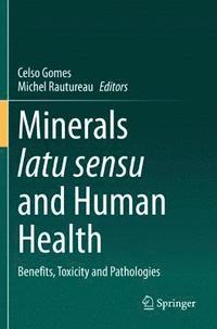 bokomslag Minerals latu sensu and Human Health