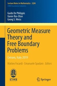 bokomslag Geometric Measure Theory and Free Boundary Problems