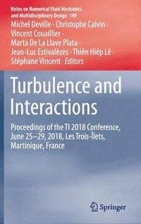 bokomslag Turbulence and Interactions