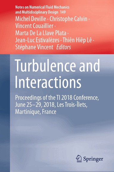 Michel Deville, Christophe Calvin, Vincent Couaillier, Marta De La Llave Plata, Jean-Luc Estivalèzes, Thiên Hiêp Lê, Stéphane Vincent - Turbulence and Interactions, Inbunden
