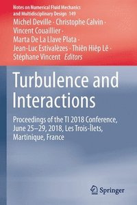 bokomslag Turbulence and Interactions
