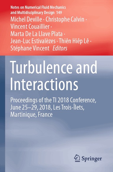 Michel Deville, Christophe Calvin, Vincent Couaillier, Marta De La Llave Plata, Jean-Luc Estivalèzes, Thiên Hiêp Lê, Stéphane Vincent - Turbulence and Interactions, Häftad