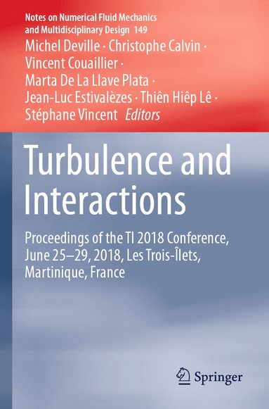 bokomslag Turbulence and Interactions