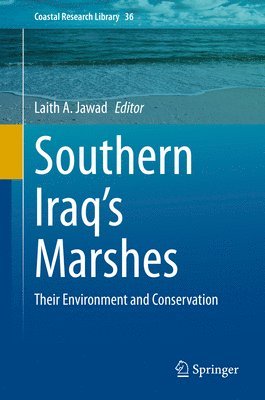 Southern Iraq's Marshes 1