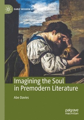 bokomslag Imagining the Soul in Premodern Literature