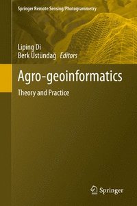 bokomslag Agro-geoinformatics