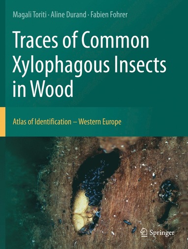 bokomslag Traces of Common Xylophagous Insects in Wood
