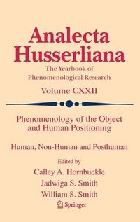 bokomslag Phenomenology of the Object and Human Positioning