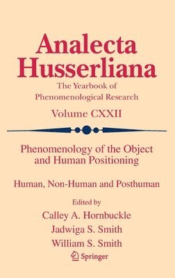 bokomslag Phenomenology of the Object and Human Positioning