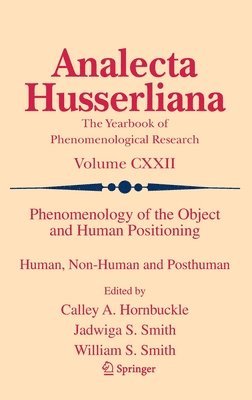 bokomslag Phenomenology of the Object and Human Positioning