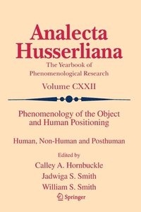 bokomslag Phenomenology of the Object and Human Positioning