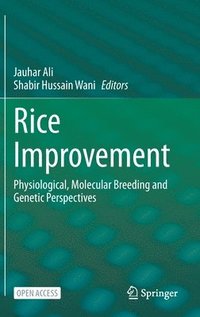 bokomslag Rice Improvement