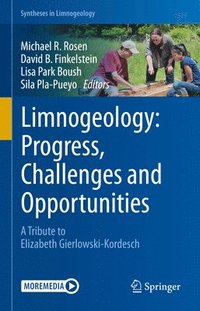 bokomslag Limnogeology: Progress, Challenges and Opportunities