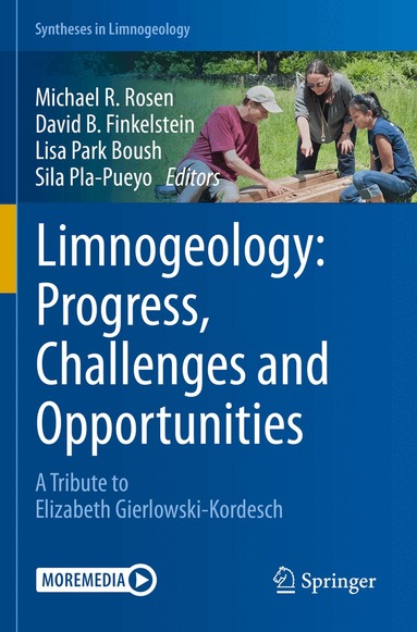 Michael R. Rosen, David B. Finkelstein, Lisa Park Boush, Sila Pla-Pueyo - Limnogeology: Progress, Challenges and Opportunities, Häftad
