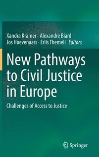 bokomslag New Pathways to Civil Justice in Europe