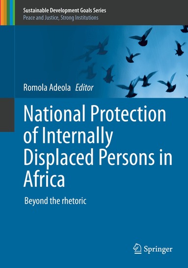 Romola Adeola - National Protection of Internally Displaced Persons in Africa, Inbunden